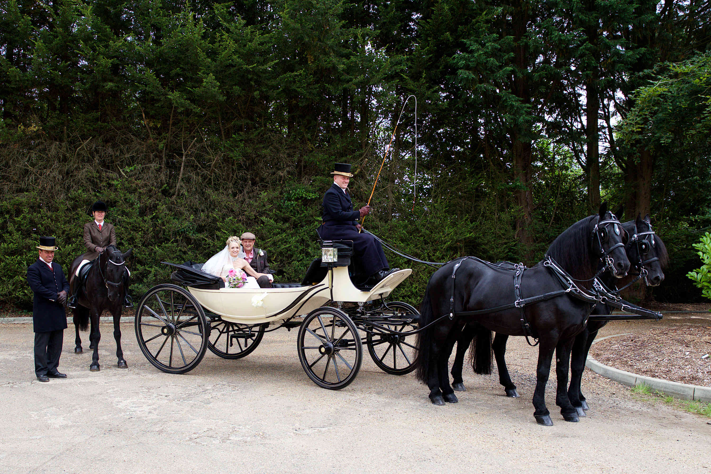 Classic Wedding Horse drawn carriage 