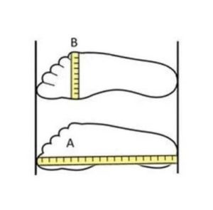 Foot Drawing 